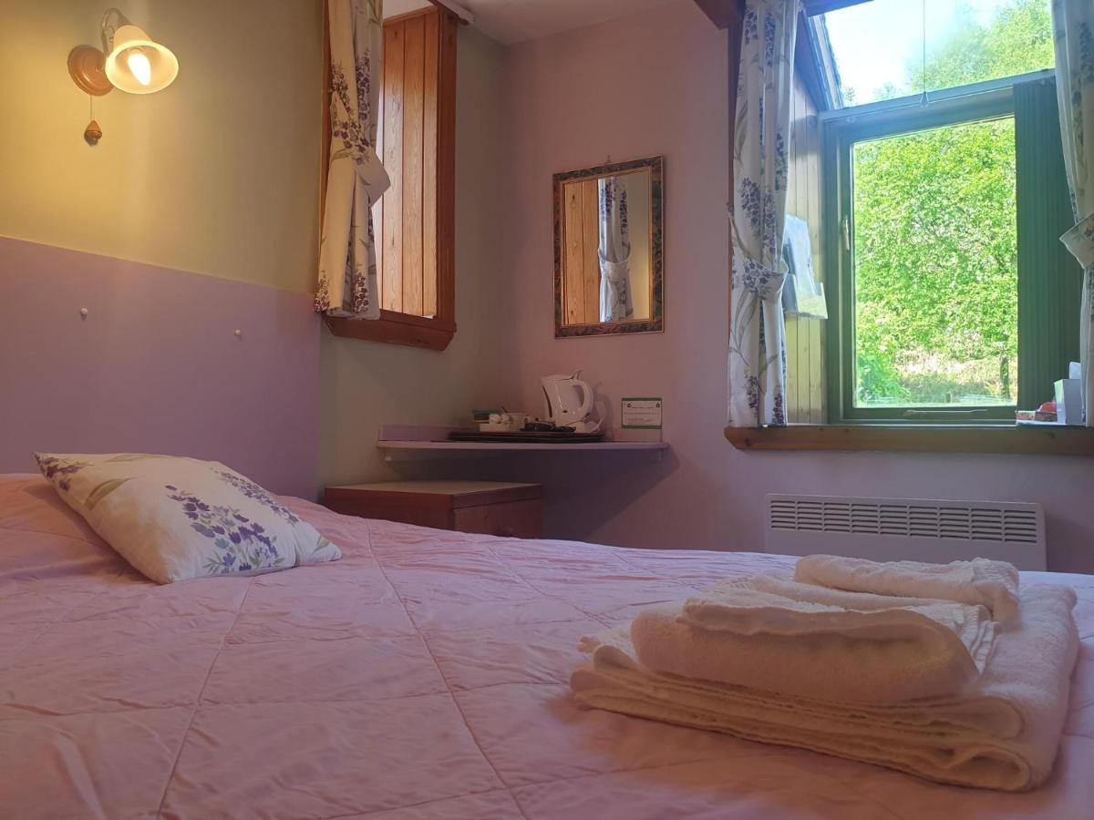Bryn Elltyd Eco House Pension Blaenau Ffestiniog Buitenkant foto