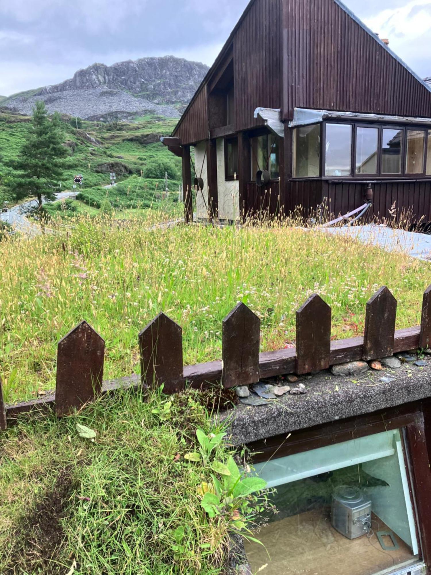 Bryn Elltyd Eco House Pension Blaenau Ffestiniog Buitenkant foto