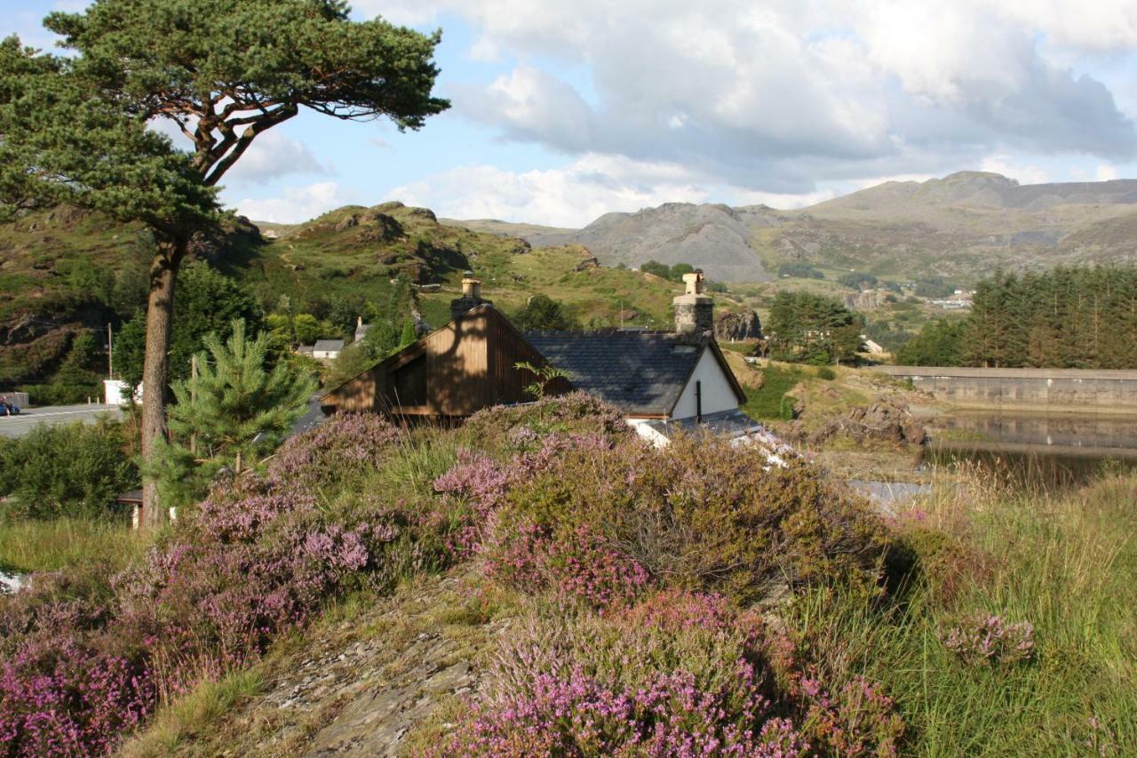 Bryn Elltyd Eco House Pension Blaenau Ffestiniog Buitenkant foto