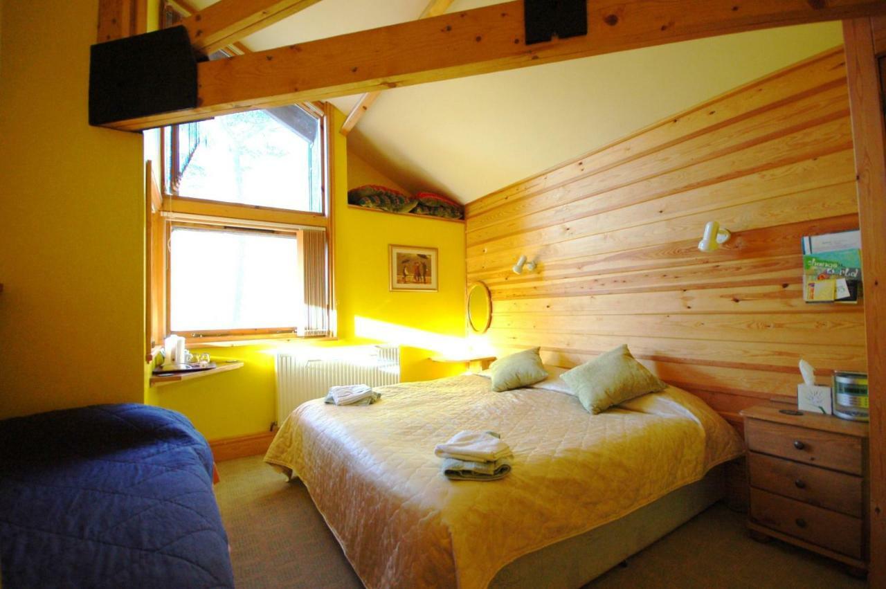 Bryn Elltyd Eco House Pension Blaenau Ffestiniog Buitenkant foto